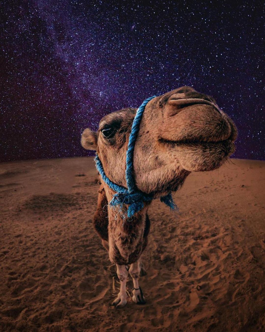 Merzouga Luxury Magic Nights Exterior foto